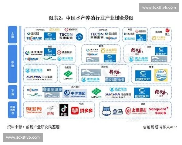 王浩vs强敌巅峰对决背后的技术博弈与时代意义解析全景观察与未来走向前瞻